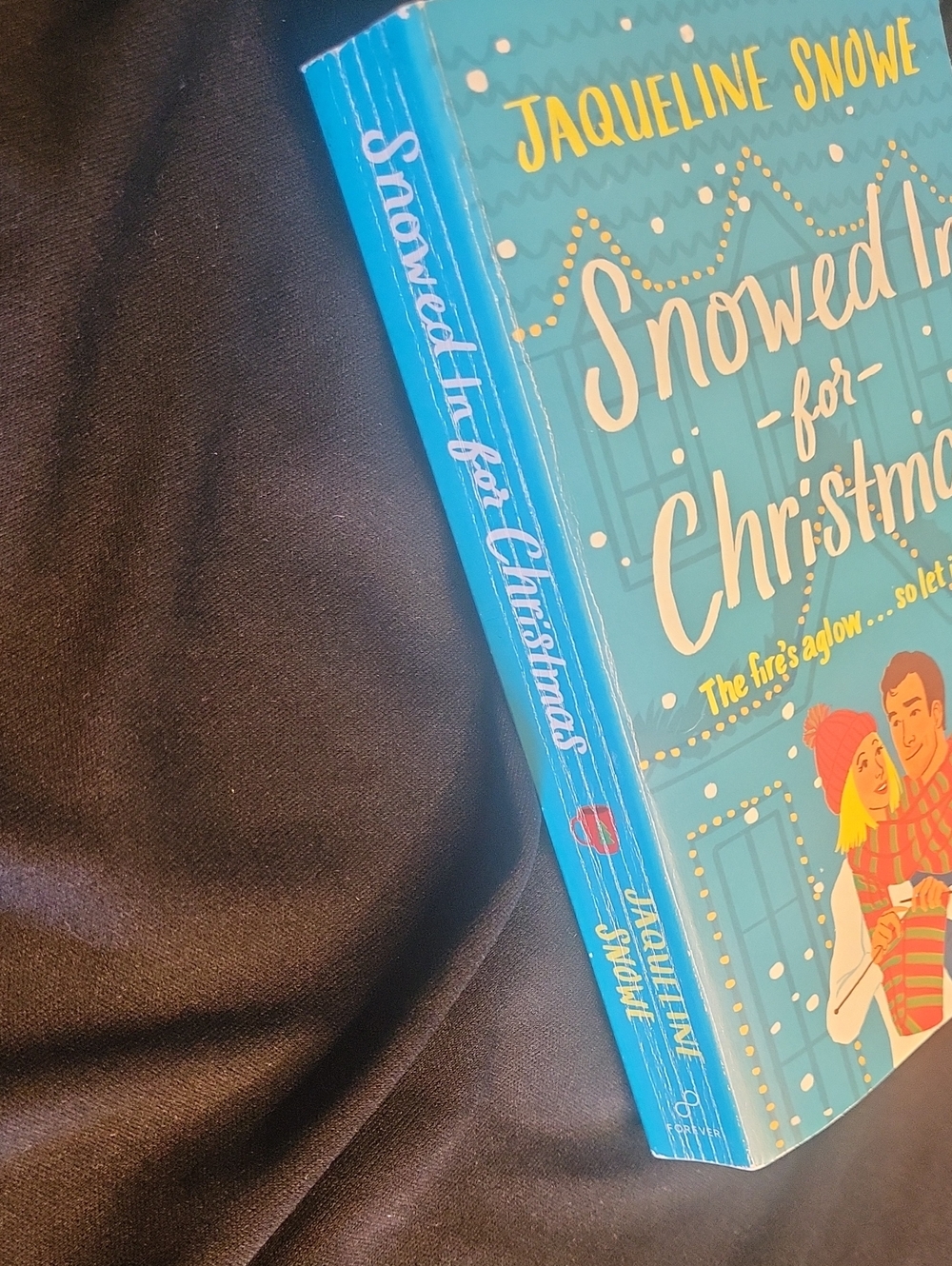 Snowed In For Christmas - Picture 3 of 3